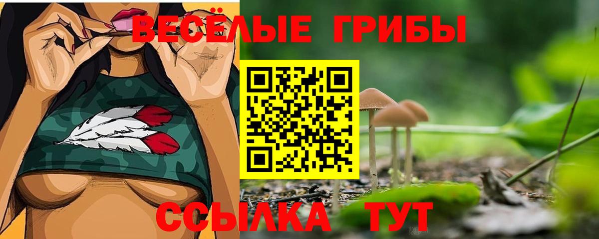 Псилоцибиновые грибы Psilocybine cubensis Россия
